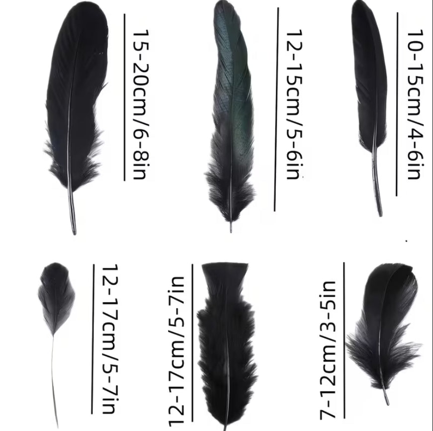 Black Feather Ritual Bundle — Altar, Protection & Shadow-Work Supply | Morrigu Star