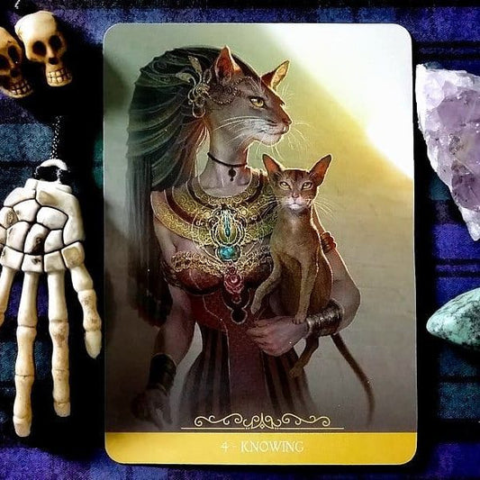 Barbieri Fantasy Cats Oracle – 23-Card Oracle Deck + Guidebook | Paolo Barbieri | Lo Scarabeo