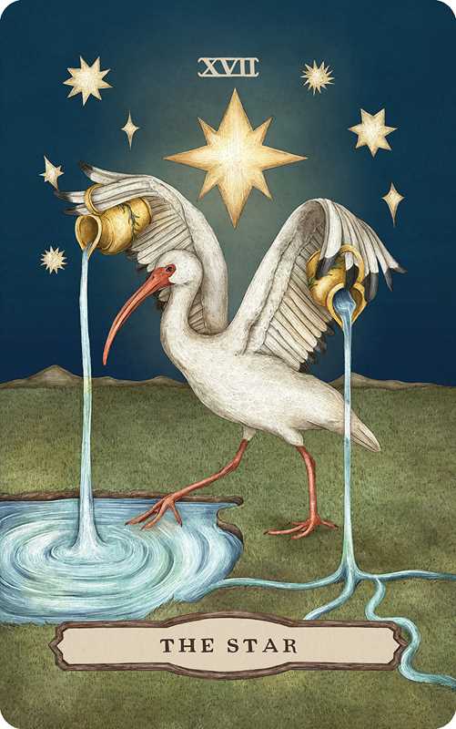 Tarot of the Woodland Wardens – Jessica Roux | Nature-Inspired Tarot Deck
