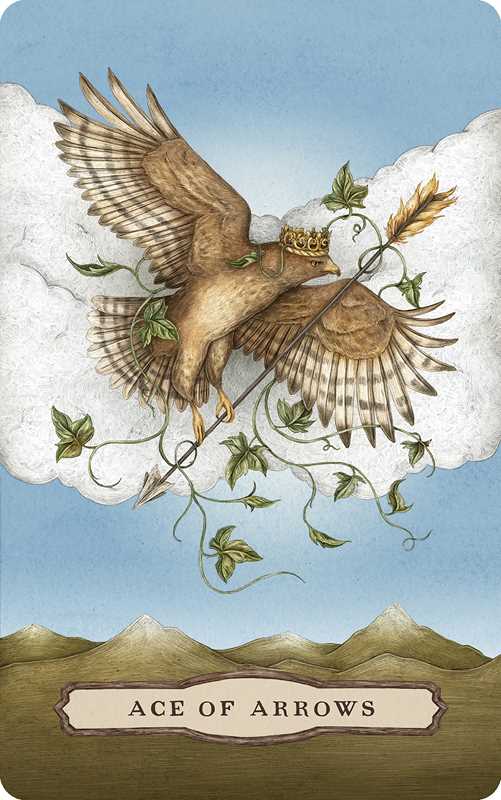 Tarot of the Woodland Wardens – Jessica Roux | Nature-Inspired Tarot Deck