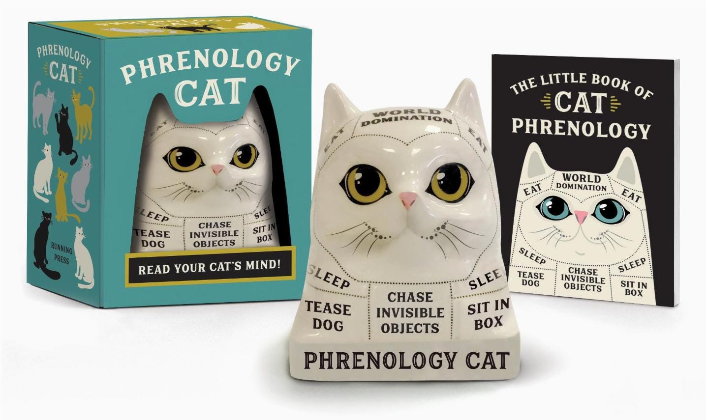 Cat Phrenology Figurine with Mini Guidebook | Ceramic Cat Decor & Mystical Cat Lover Gift