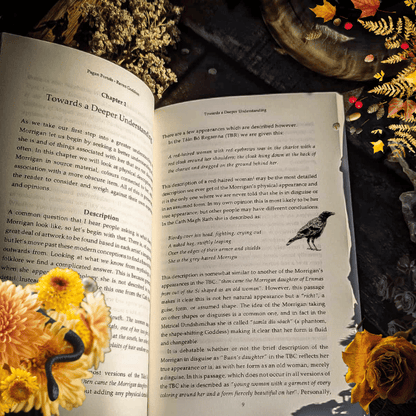 Raven Goddess: Going Deeper with the Morrigan (Pagan Portals Series)