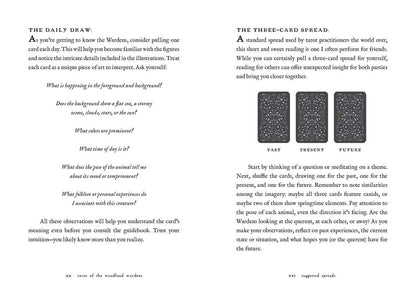 Tarot of the Woodland Wardens – Jessica Roux | Nature-Inspired Tarot Deck