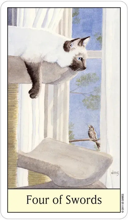 Cat’s Eye Tarot – Classic Rider-Waite Style Tarot Deck with Cats | US Games