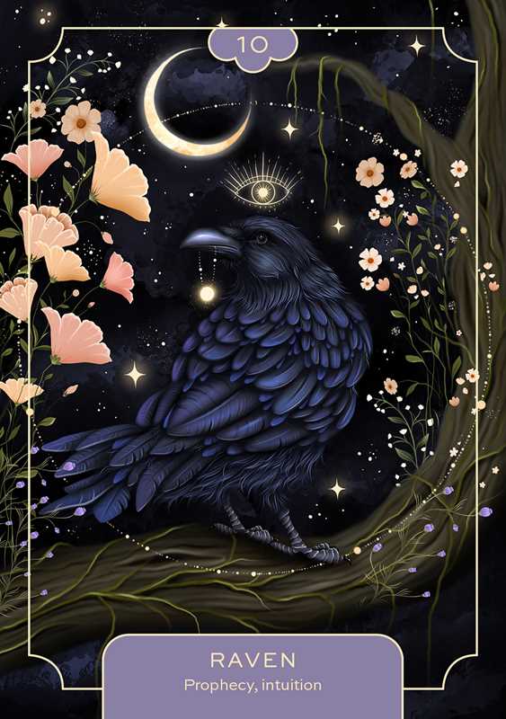 Animal Spirit Oracle by Lea Androic – Intuition, Shadow Work & Spirit Animal Guidance Deck