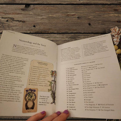 Antique Anatomy Tarot Deck | 78-Card Tarot with Guidebook | Gift Ready