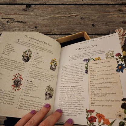 Antique Anatomy Tarot Deck | 78-Card Tarot with Guidebook | Gift Ready