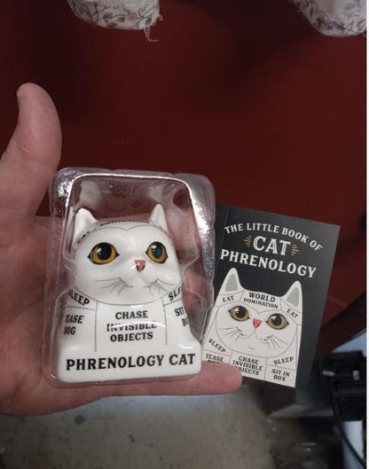 Cat Phrenology Figurine with Mini Guidebook | Ceramic Cat Decor & Mystical Cat Lover Gift