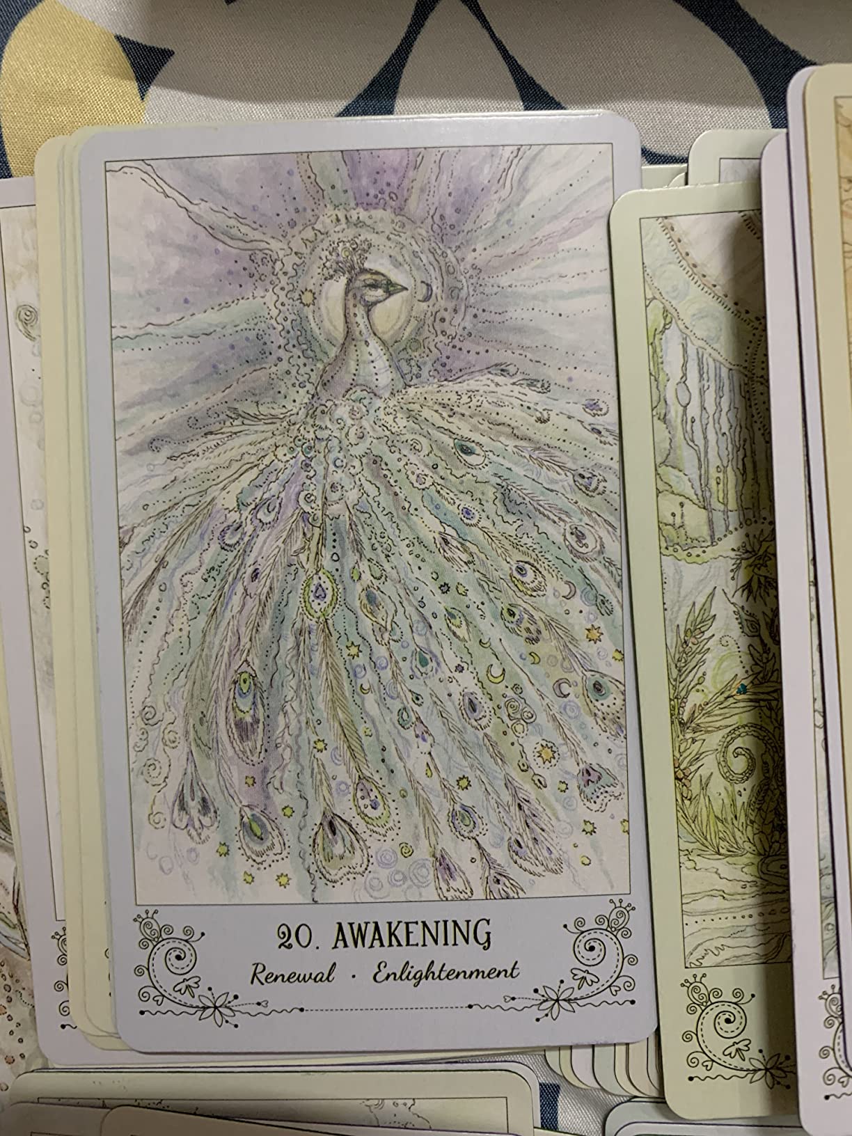 Spiritsong Tarot – Shamanic Animal Spirit Tarot Deck with Guidebook | Paulina Cassidy