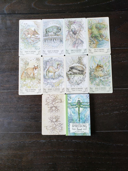 Spiritsong Tarot – Shamanic Animal Spirit Tarot Deck with Guidebook | Paulina Cassidy