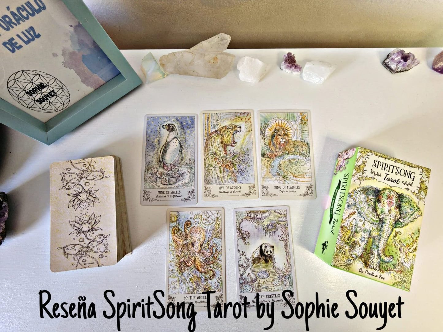 Spiritsong Tarot – Shamanic Animal Spirit Tarot Deck with Guidebook | Paulina Cassidy