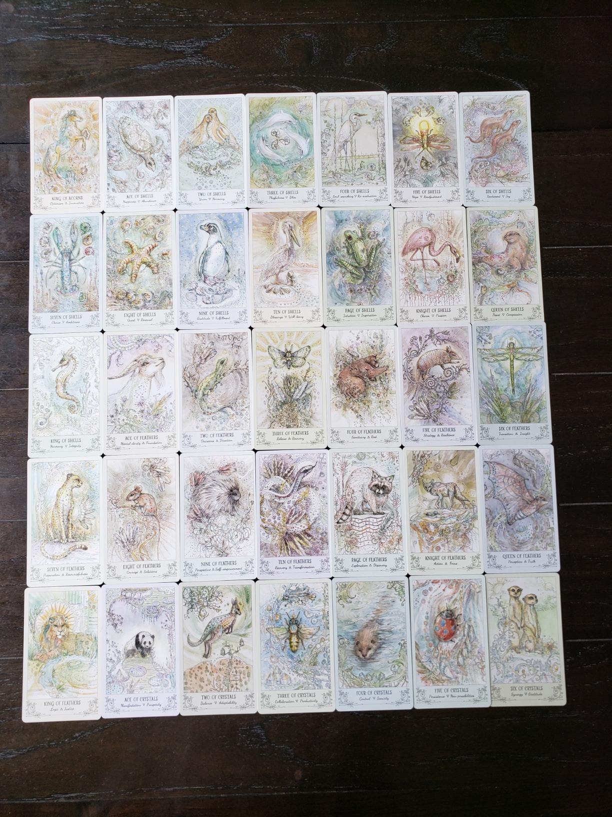 Spiritsong Tarot – Shamanic Animal Spirit Tarot Deck with Guidebook | Paulina Cassidy