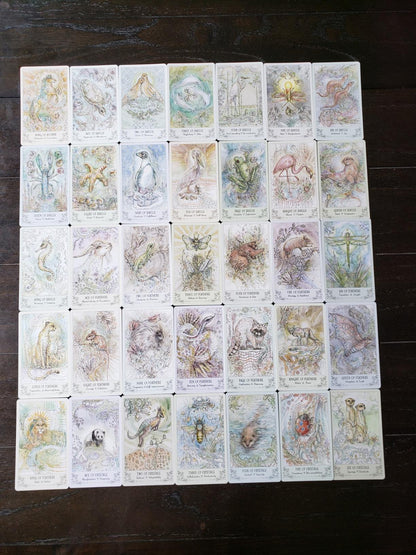 Spiritsong Tarot – Shamanic Animal Spirit Tarot Deck with Guidebook | Paulina Cassidy