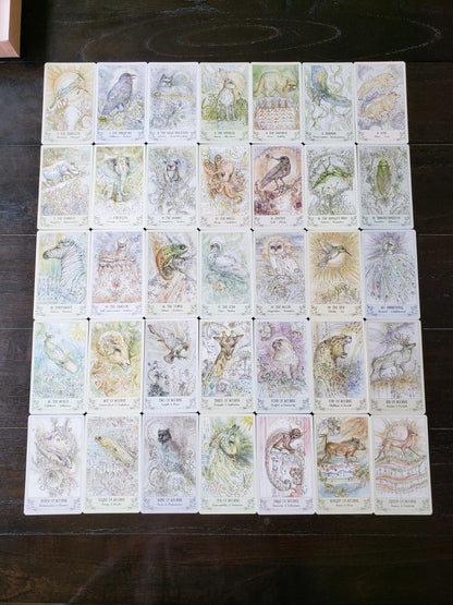 Spiritsong Tarot – Shamanic Animal Spirit Tarot Deck with Guidebook | Paulina Cassidy
