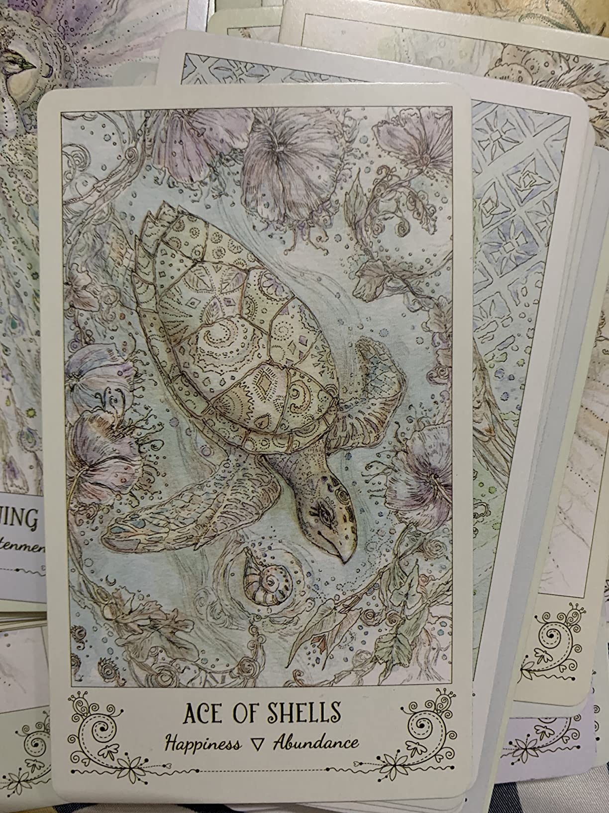 Spiritsong Tarot – Shamanic Animal Spirit Tarot Deck with Guidebook | Paulina Cassidy
