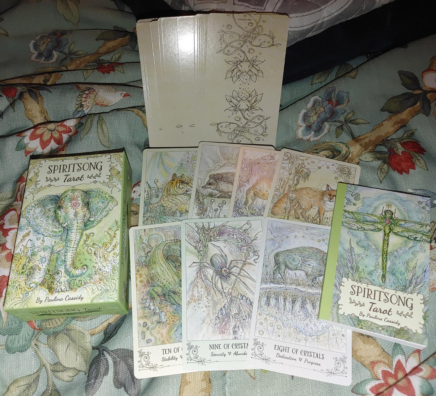 Spiritsong Tarot – Shamanic Animal Spirit Tarot Deck with Guidebook | Paulina Cassidy