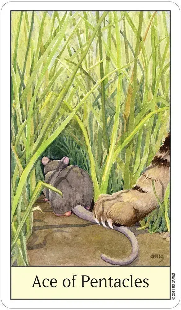 Cat’s Eye Tarot – Classic Rider-Waite Style Tarot Deck with Cats | US Games