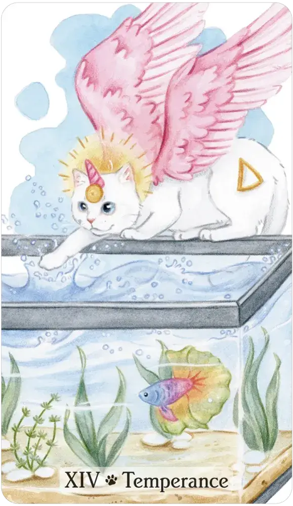 Caticorn Tarot Deck – Whimsical Cat Unicorn Tarot Cards with Guidebook | Magical Divination Deck