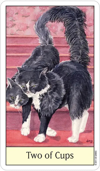 Cat’s Eye Tarot – Classic Rider-Waite Style Tarot Deck with Cats | US Games