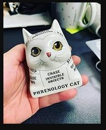 Cat Phrenology Figurine with Mini Guidebook | Ceramic Cat Decor & Mystical Cat Lover Gift