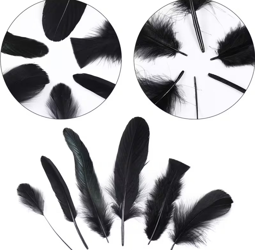 Black Feather Ritual Bundle — Altar, Protection & Shadow-Work Supply | Morrigu Star