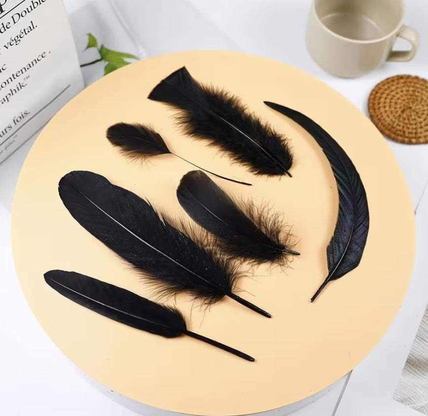 Black Feather Ritual Bundle — Altar, Protection & Shadow-Work Supply | Morrigu Star