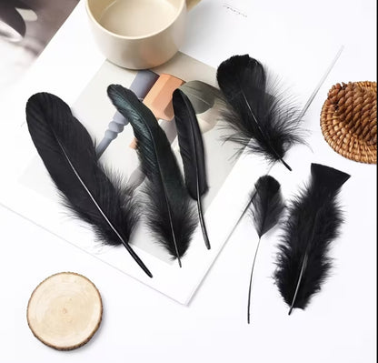 Black Feather Ritual Bundle — Altar, Protection & Shadow-Work Supply | Morrigu Star