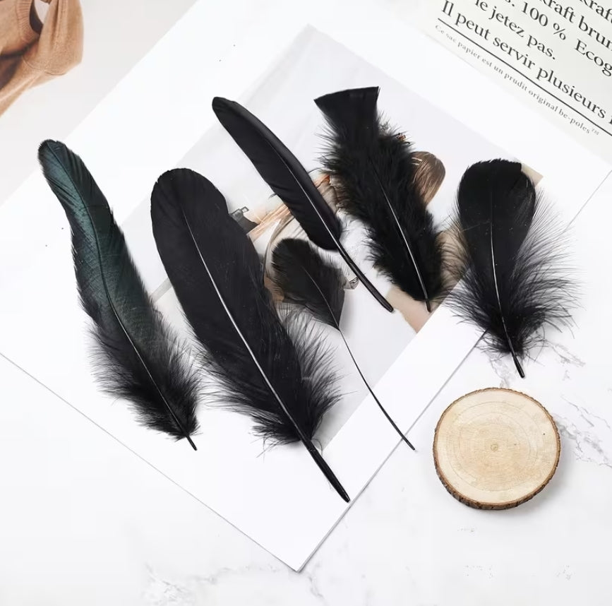 Black Feather Ritual Bundle — Altar, Protection & Shadow-Work Supply | Morrigu Star