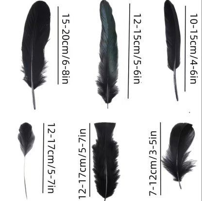 Black Feather Ritual Bundle — Altar, Protection & Shadow-Work Supply | Morrigu Star