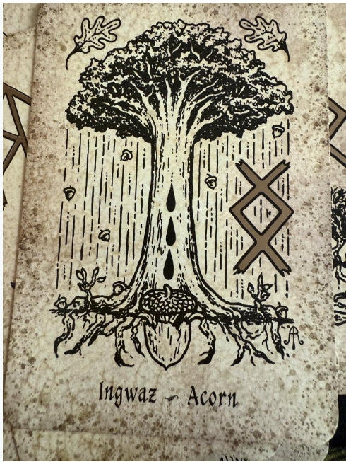 Runes and Roots Oracle | Nicolette Miele