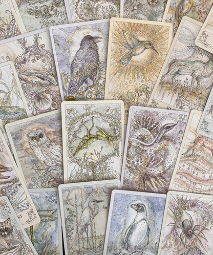 Spiritsong Tarot – Shamanic Animal Spirit Tarot Deck with Guidebook | Paulina Cassidy