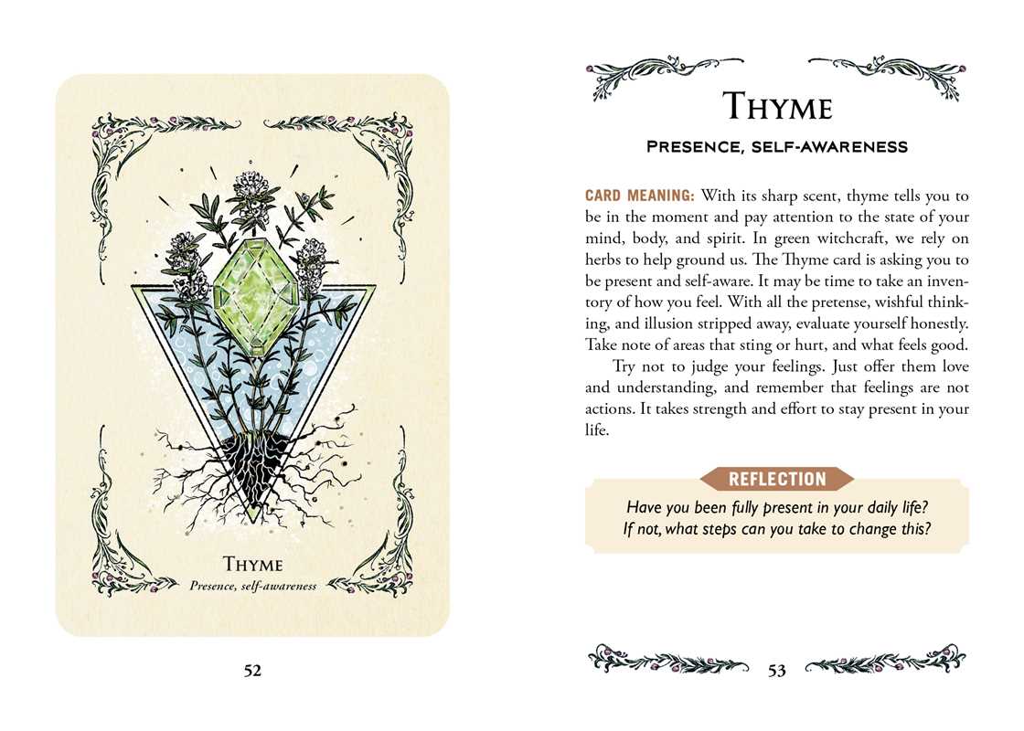The Green Witch’s Oracle Deck – With Physical Guidebook – Earth-Based Wisdom & Natural Magic