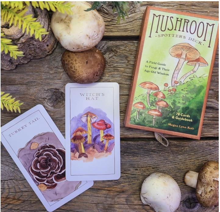 Mushroom Spotter’s Deck – Oracle Cards | Fungi Field Guide | Nature Wisdom Cards | Illustrated Deck