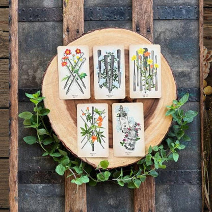 Antique Anatomy Tarot Deck | 78-Card Tarot with Guidebook | Gift Ready